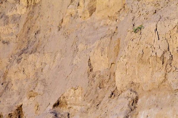 Arka plan olarak eski bir ev çamur ve taşlarla yapılmış duvar