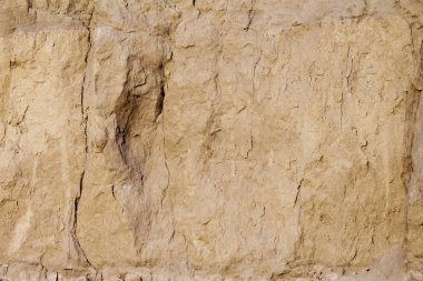 Arka plan olarak eski bir ev çamur ve taşlarla yapılmış duvar