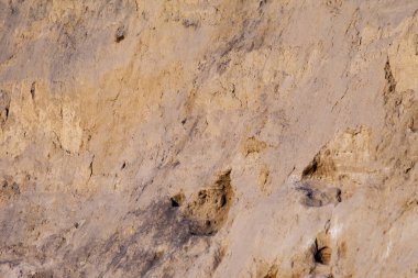 Arka plan olarak eski bir ev çamur ve taşlarla yapılmış duvar