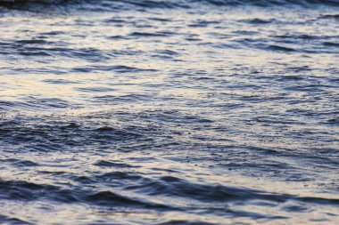Dalgalar büyük bir nehir kıyısında kumlu. Işık ışınları dalgalar halinde yansıtılır,