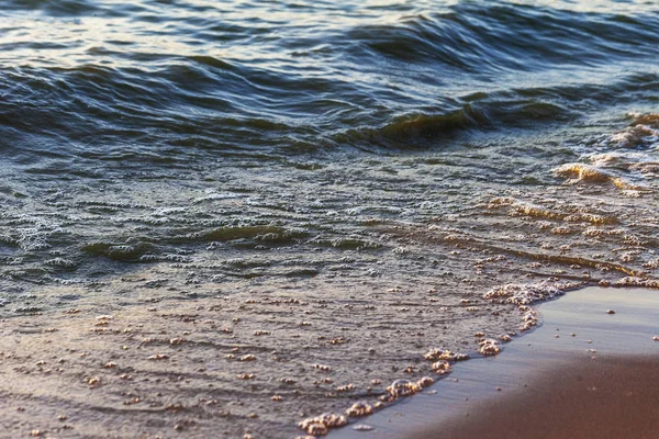 Dalgalar büyük bir nehir kıyısında kumlu. Işık ışınları dalgalar halinde yansıtılır,