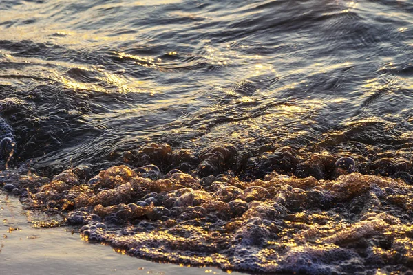 Vagues Sur Rivage Sablonneux Une Grande Rivière Les Rayons Lumière — Photo