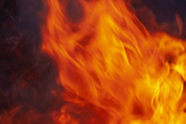 Siyah zemin üzerine kırmızı alevler. Doku ateş. Yanan çöp şenlik ateşi yemek. Yakın çekim.