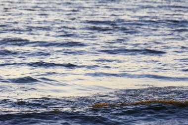 Dalgalar büyük bir nehir kıyısında kumlu. Işık ışınları dalgalar halinde yansıtılır,