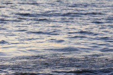 Dalgalar büyük bir nehir kıyısında kumlu. Işık ışınları dalgalar halinde yansıtılır,