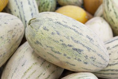 Gün ışığında sayaçta kavun torpido. Piyasadaki sulu meyve öğle yemeği için. Doğal doku, arka plan. Yakın çekim. Sığ derinlik-in tarla.