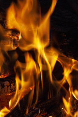 Yangın, siyah bir zemin üzerine alevler. Yangın reklam için.