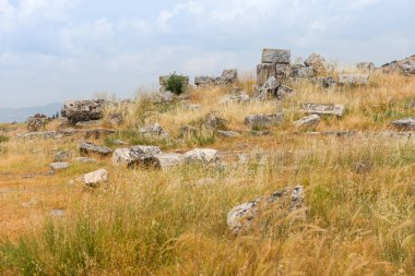 Eski yıkık klasik taş binalar bir bulutlu gökyüzü altında çimenli bir alanda dağınık kalıntıları