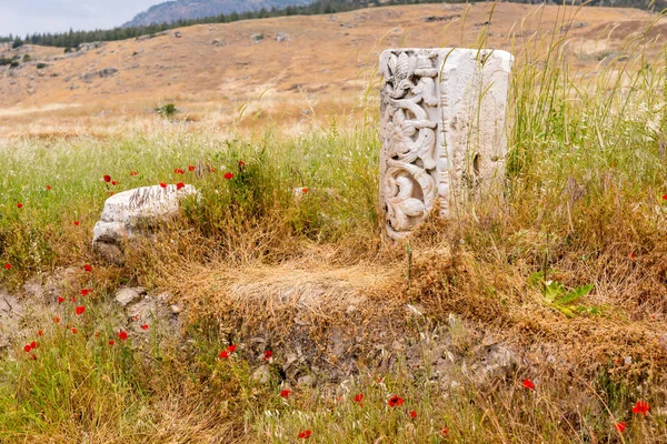 Remnants of an ornately carved stone column with classical design in a field with red wildflowers and long grass