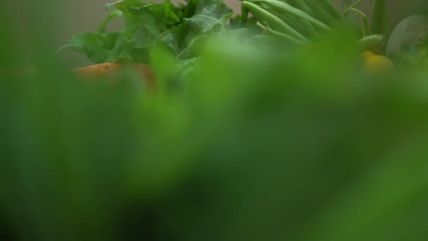 Enfoque en las verduras frescas surtidas — Vídeo de stock