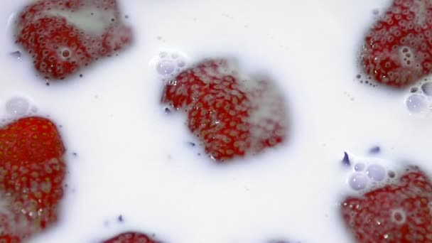 Morangos vermelhos maduros flutuando em uma tigela de leite — Vídeo de Stock