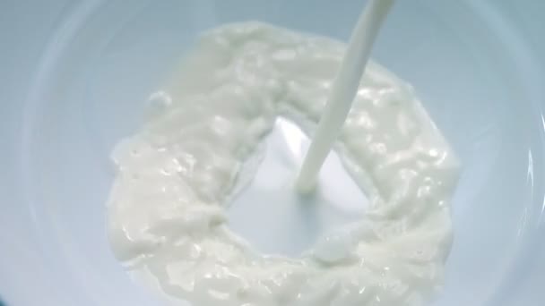 Frische Milch wird in eine weiße Schüssel gegossen — Stockvideo