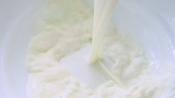 Close up on fresh farm milk splashing into a bowl — Stock Video