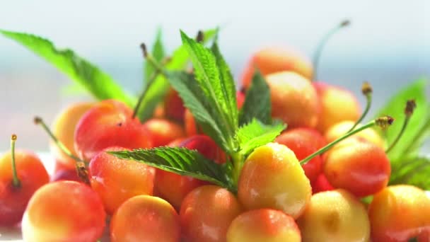 Orange cherries being misted with water spray — Stock Video