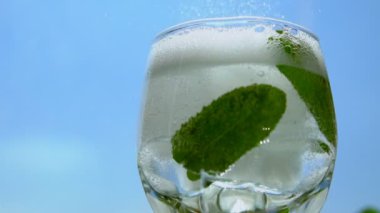 Taze nane ve buz ile soğuk efervesan içki