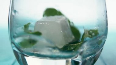 Kokteyl bardağına bırakarak nane yaprakları