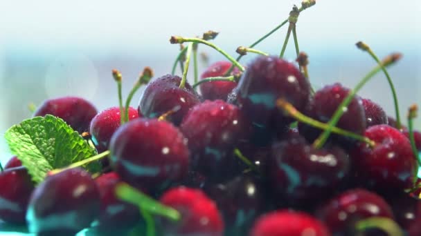 Montón de cerezas dulces maduras frescas y menta — Vídeo de stock