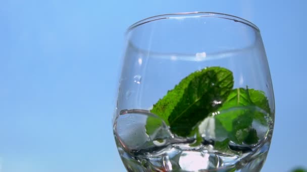 Foglie di erbe cadute nel bicchiere da cocktail — Video Stock