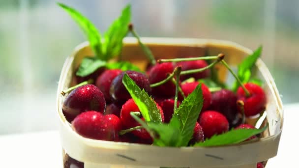 Container of fresh ripe red cherries with mint — Stock Video