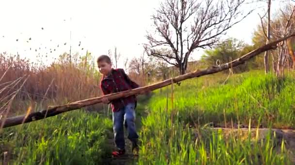 Kleine jongen probeert op te heffen een gevallen tak — Stockvideo
