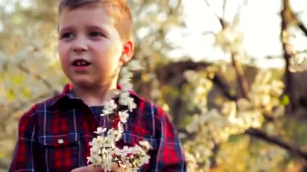 Little Boy Smelling Sprays Fresh Spring Blossom His Hands Laughing — Stock Video