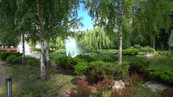 Pittoreska stadspark och sjön med grönska — Stockvideo