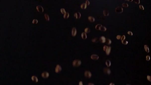 Multiple dark brown coffee beans falling down — Stock Video