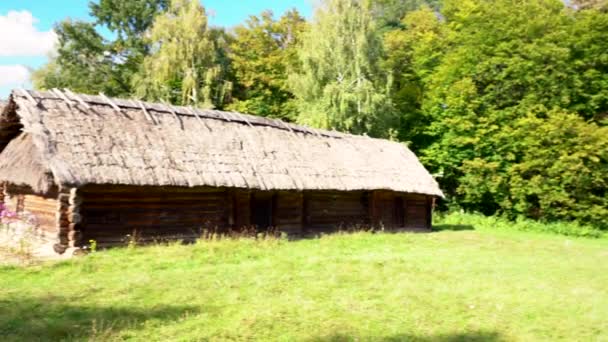 Деревенские дома с соломенными крышами — стоковое видео