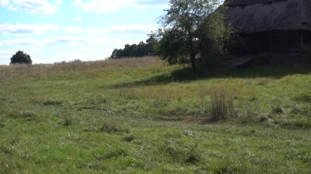 Landhaus mit Strohdach auf einem Feld — Stockvideo