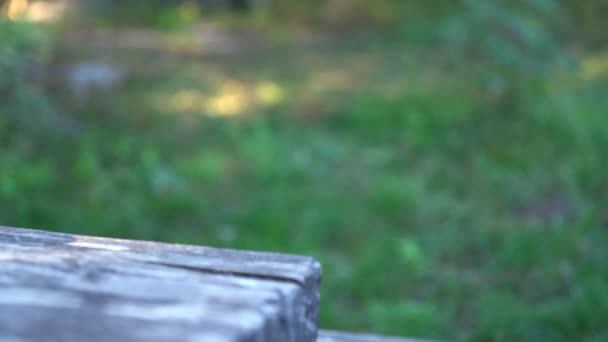 Dos tazas de café para llevar al aire libre en una mesa — Vídeo de stock