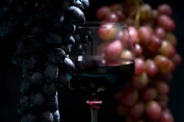Glass Red Wine Grapes Concept Viticulture Wine Making — Stock Photo, Image