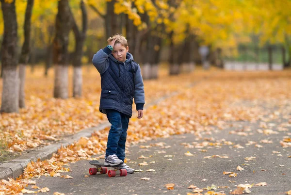 穿着温暖夹克的小男孩 滑板手牵着额头 好像受伤了 独自站在公园里 黄叶和树模糊的背景作为复制空间 — 图库照片