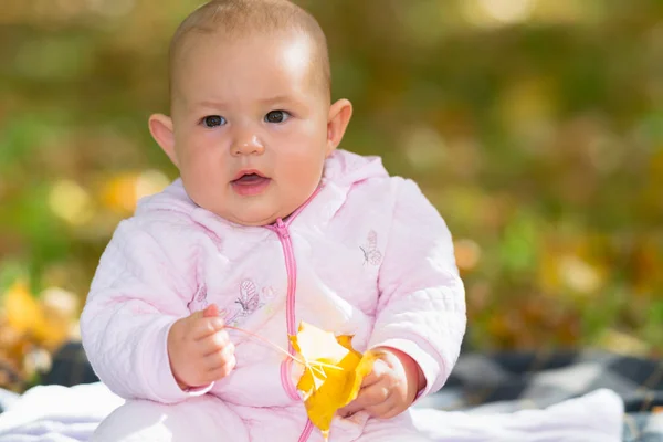Mooi Klein Meisje Van Baby Spelen Met Een Herfstblad Zittend — Stockfoto