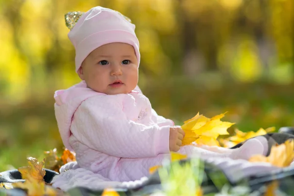一个穿着粉色衣服的婴儿坐在黄色的秋天 秋天的树叶在公园的场景中 — 图库照片