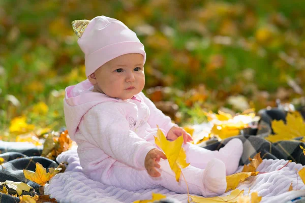 イエロー フォールの中でピクニックの敷物の上に座っているピンクの服でかわいい赤ちゃん葉します — ストック写真