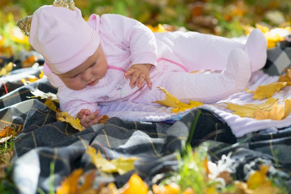 Curious Baby Laying Picnic Rug Amongst Autumn Fall Leaves — Stock Photo, Image