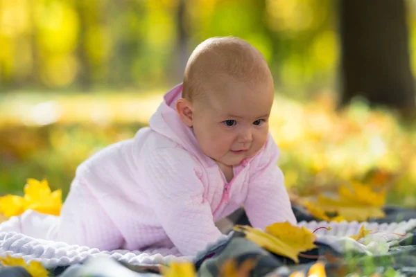 Een Baby Leren Kruipen Een Picknick Deken Onder Herfst Bladeren — Stockfoto