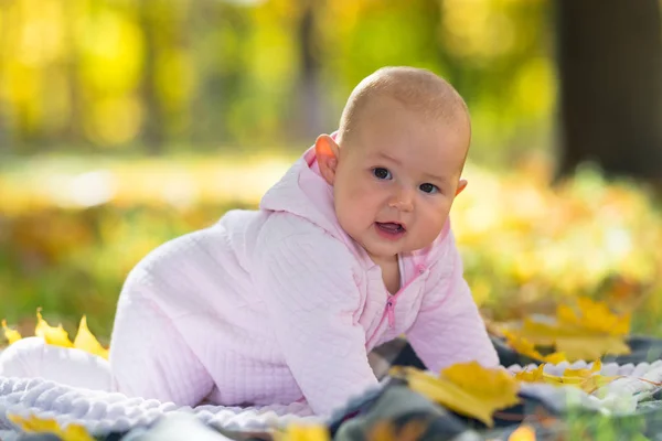 Küçük Bebek Kız Kendini Renkli Sarı Sonbahar Arasında Bir Halı — Stok fotoğraf