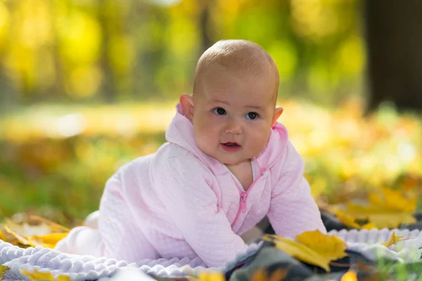 Baby Learning Crawl Picnic Rug Amongst Fall Leaves Bright Autumn — Stock Photo, Image