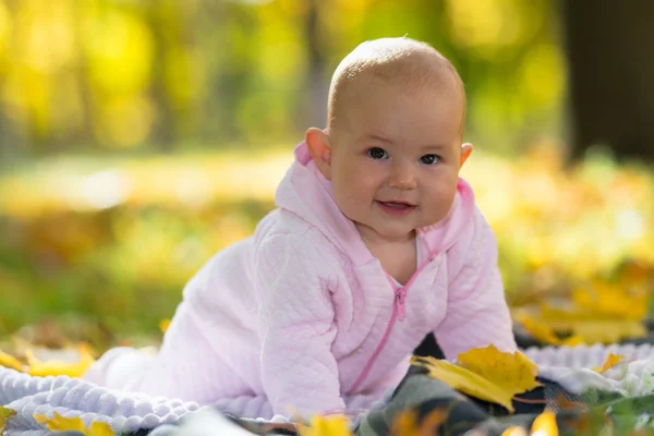 Een Gelukkige Baby Leren Kruipen Een Picknick Deken Onder Herfst — Stockfoto