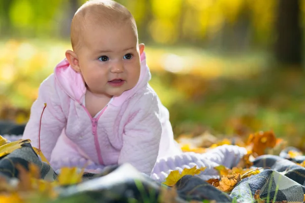 Bebê Aprendendo Rastejar Tapete Piquenique Entre Folhas Outono Uma Cena — Fotografia de Stock