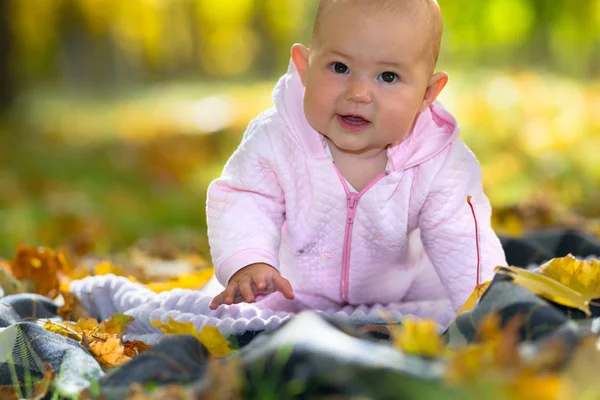 Bébé Apprenant Ramper Sur Tapis Pique Nique Parmi Les Feuilles — Photo