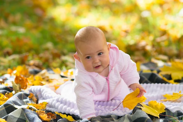 在一个明亮的秋日公园场景中 一个婴儿在秋叶间的秋叶间学习在野餐地毯上爬行 — 图库照片
