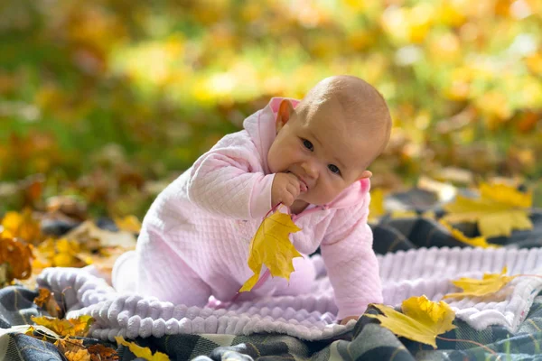 Ein Baby Pinkfarbener Kleidung Spielt Auf Einem Picknickteppich Inmitten Gelber — Stockfoto