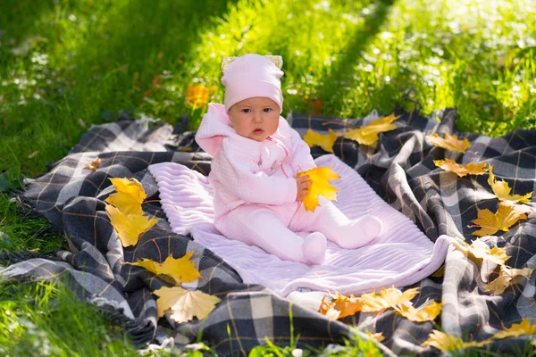 緑の芝生で野外敷物の上に座っている小さな女の赤ちゃんに点在するカラフルな黄色の紅葉とともに — ストック写真