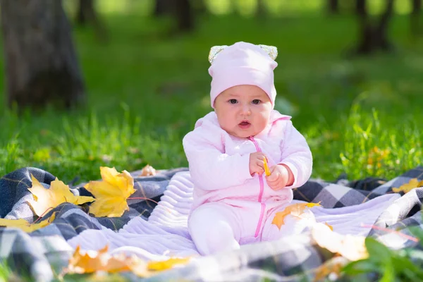 公園シーンで秋の紅葉の中でピクニック ラグで遊ぶピンクの服で赤ちゃん — ストック写真