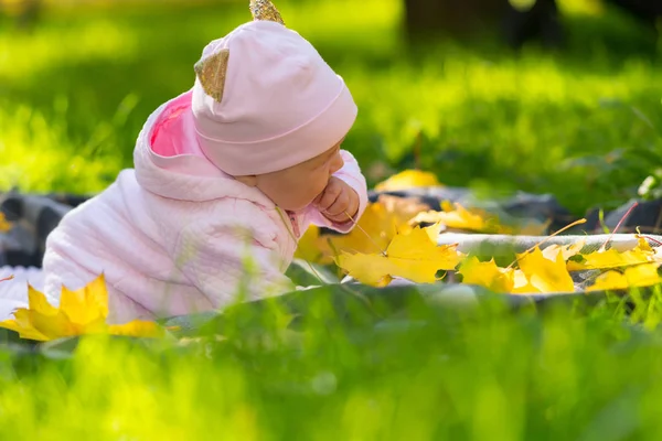 Little Baby Girl Playing Colorful Yellow Autumn Leaves Rug Grass — Stock Photo, Image