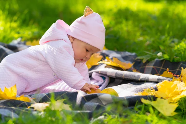 可爱的小女孩在秋天的公园里玩耍 在草地上的地毯上爬行 摸着五颜六色的黄叶和新鲜的苹果 — 图库照片