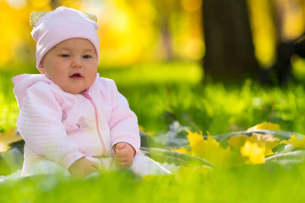 可爱的小女孩坐在郁郁葱葱的绿草在公园在秋天玩五颜六色的黄叶与复制空间 — 图库照片