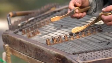 Bir yamuk dövülmüş santur oynarken müzisyen